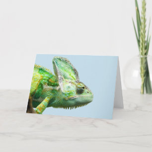 CARTES D'ANNIVERSAIRE IGUANA