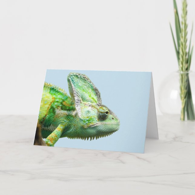 CARTES D'ANNIVERSAIRE IGUANA (Devant)