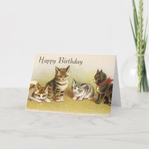 Cartes d'anniversaire joyeuses - Kittys
