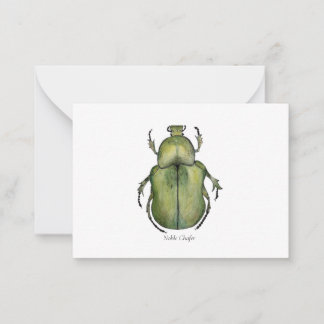 Cartes d'aquarelle du scarabée