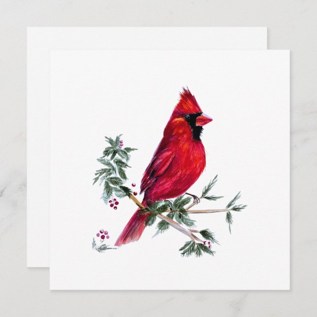 Cartes d'art du Cardinal à l'aquarelle par Amy DeV (Devant / Derrière)