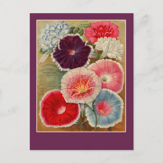 Cartes d'art pour paquets de semences (Devant)