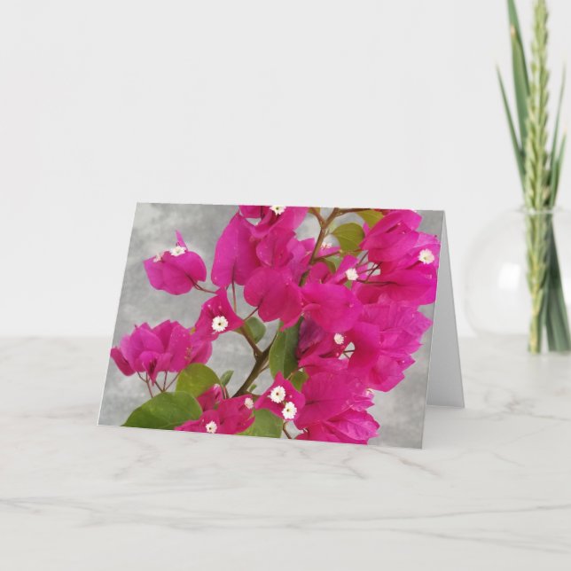 Cartes de Bougainvillea (Devant)