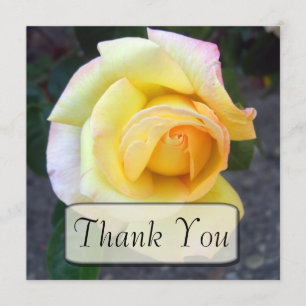 Cartes de bourgeonnement de Merci de rose jaune