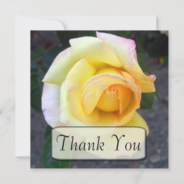 Cartes de bourgeonnement de Merci de rose jaune (Devant)