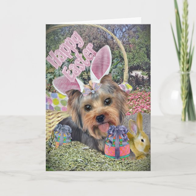 Cartes de chasse aux oeufs de Pâques Yorkie (Devant)