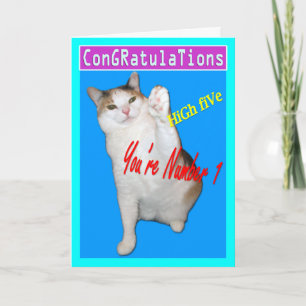 Cartes de chat, Félicitations