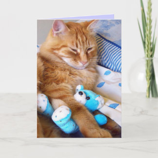 Cartes de chats vides