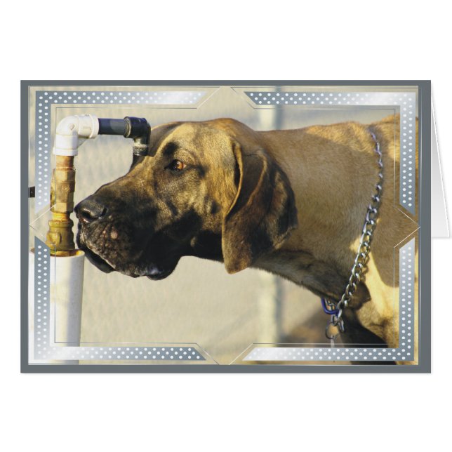 Cartes de chien Grande Danse (Devant Horizontal)