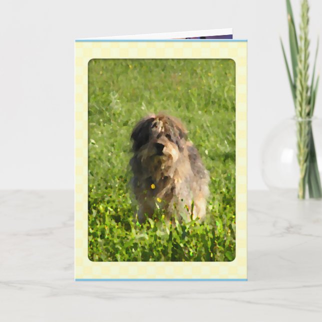 Cartes de chiens Rainbow Bridge (Devant)