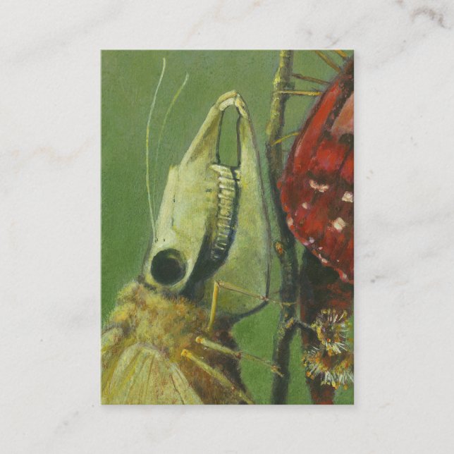 Cartes de collection gothiques d'artistes de la (Devant)