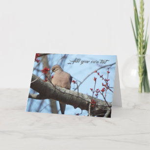cartes de colombe matinale