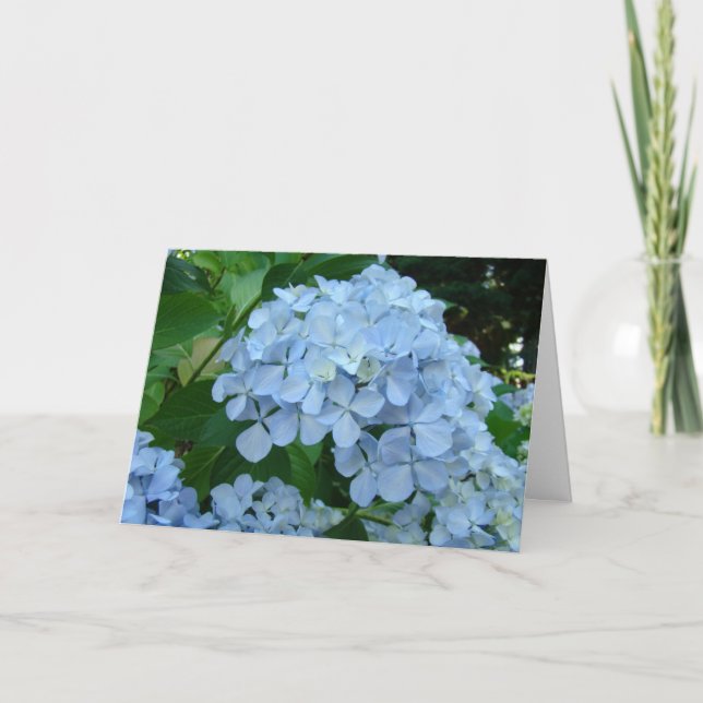 Cartes de fleurs d'hortensia Jardins d'hortensias  (Devant)