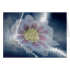 Cartes de foudre blanches