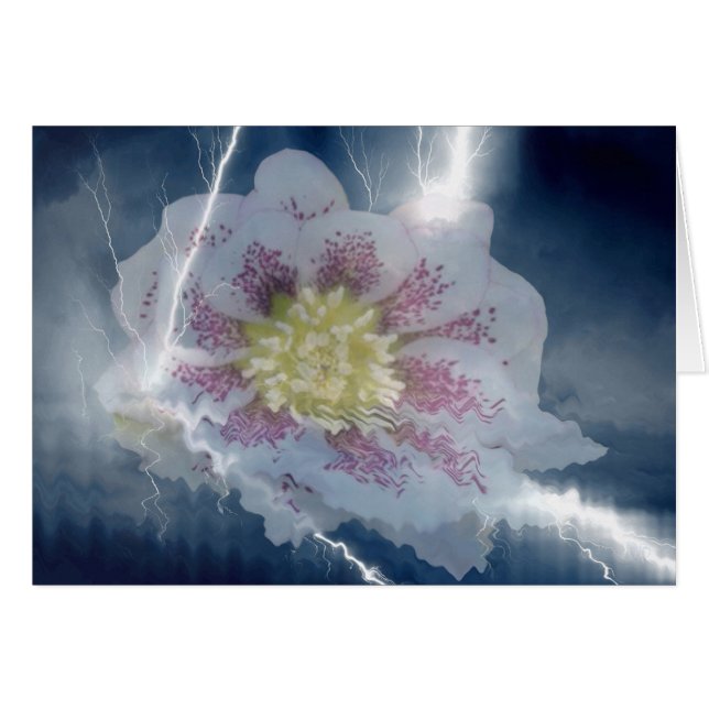 Cartes de foudre blanches (Devant horizontal)
