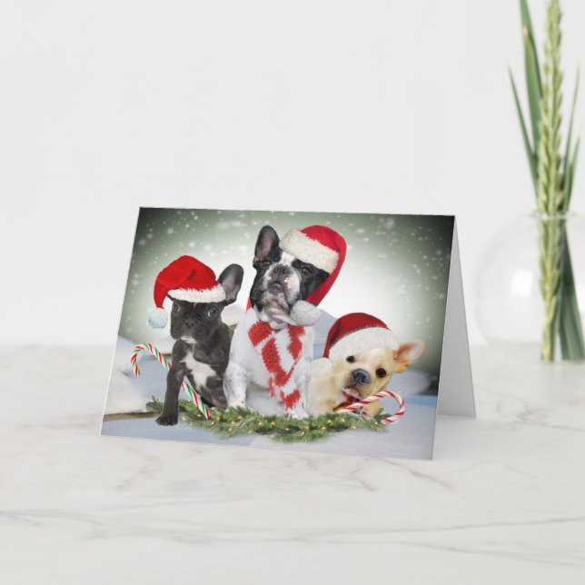 Cartes de French Bulldog Let It Snow (Devant)