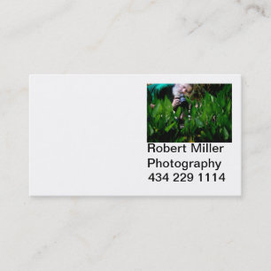 Cartes de galerie