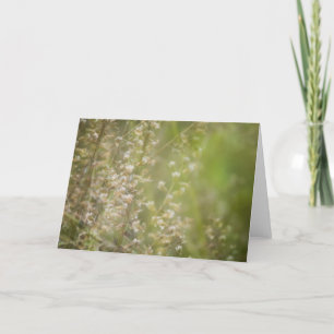 Cartes de graines d'impressions