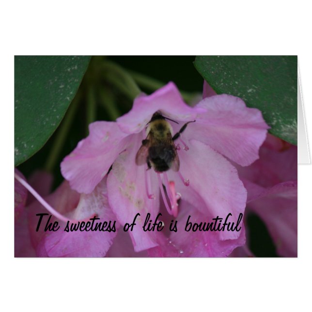 Cartes de guérison (Devant horizontal)