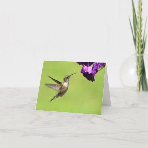 Cartes de Hummer en vol