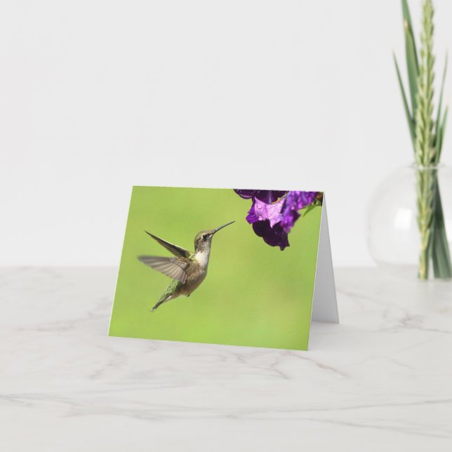 Cartes de Hummer en vol (Devant)