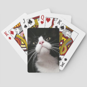 cartes de jeu