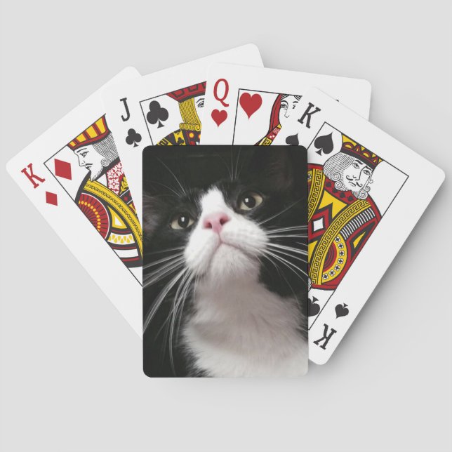 cartes de jeu (dos)