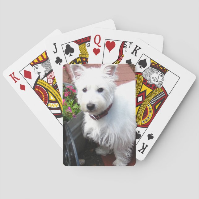 Cartes de jeu adorables de Westie (dos)