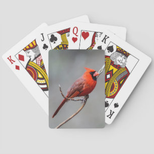 Cartes de jeu cardinales