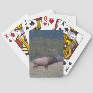 Cartes de jeu classiques de wapitis taureau