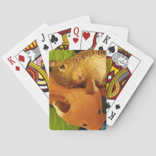 Cartes de jeu d'amarante et de M. Fox