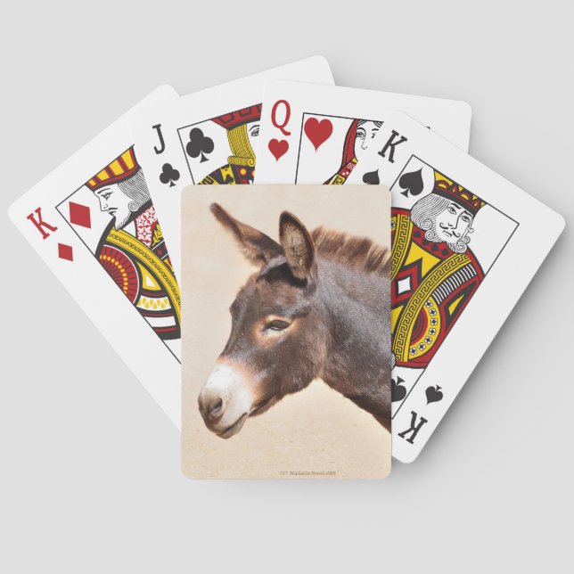 Cartes de jeu d'âne (dos)