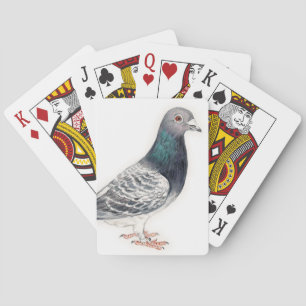 Cartes de jeu d'art d'oiseau de pigeon