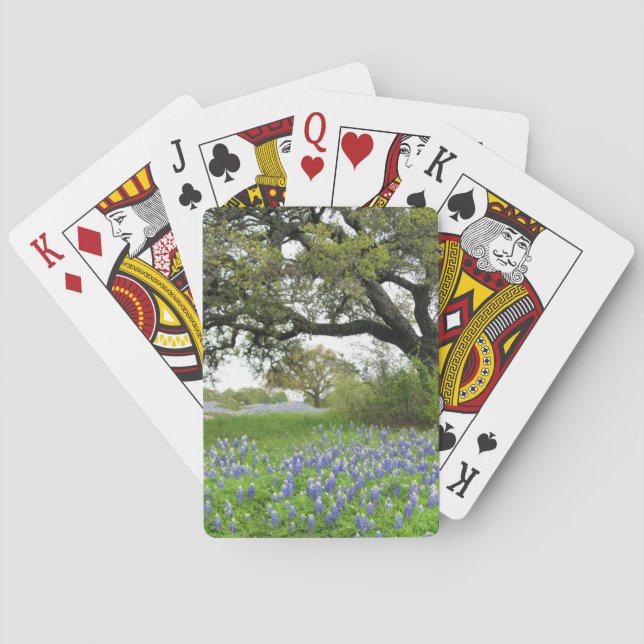 Cartes de jeu de Bluebonnet (dos)