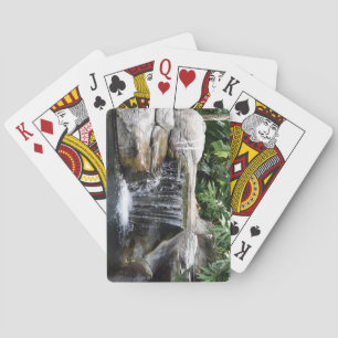 Cartes de jeu de cascade