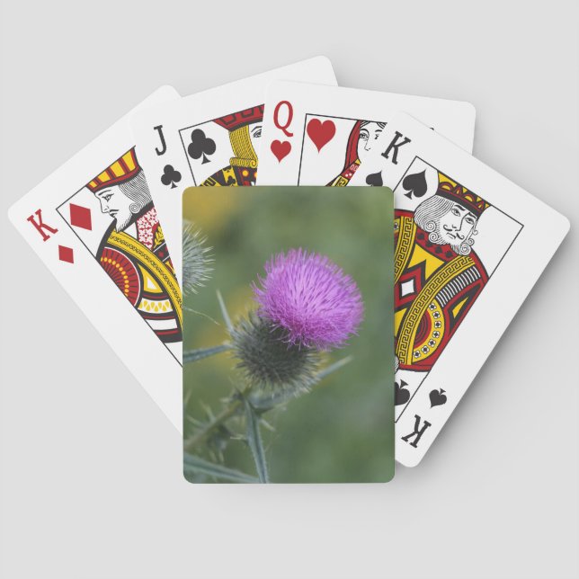 Cartes de jeu de chardon (dos)
