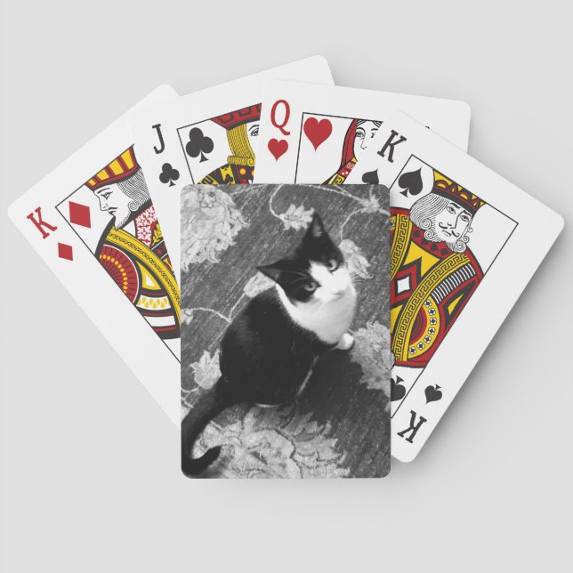 Cartes de jeu de chats (dos)