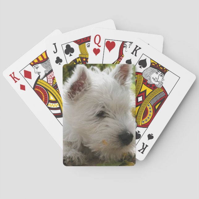 Cartes de jeu de chien de Terrier blanc de (dos)
