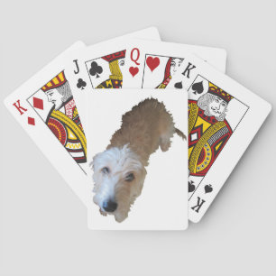 Cartes de jeu de chien scintillant