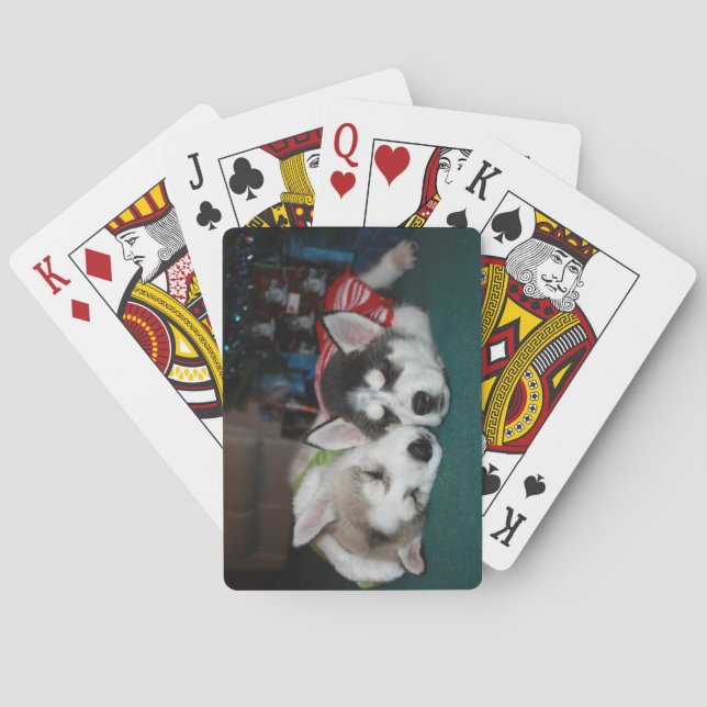 Cartes de jeu de chiot de chien de traîneau (dos)