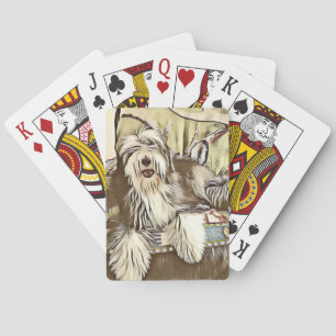 Cartes de jeu de collie barrées
