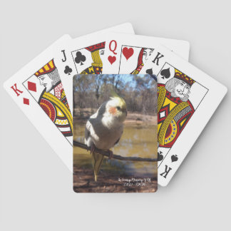 Cartes De Jeu De Cuisine Cockatiel