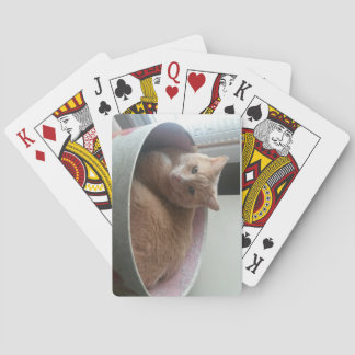 Cartes de jeu de Kitty