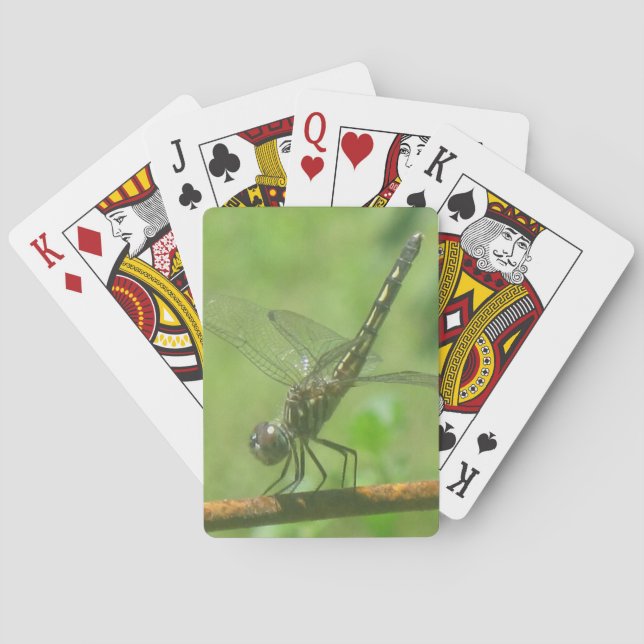 Cartes de jeu de libellules (dos)