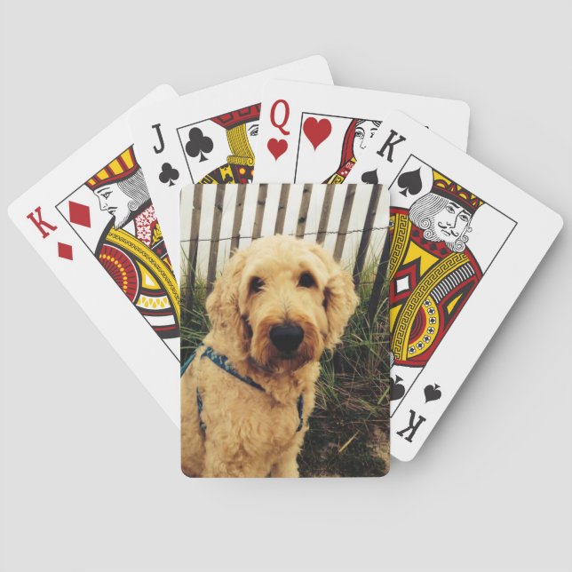 Cartes de jeu de Murray (dos)