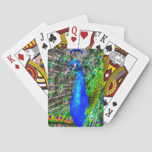 Cartes de jeu de paon