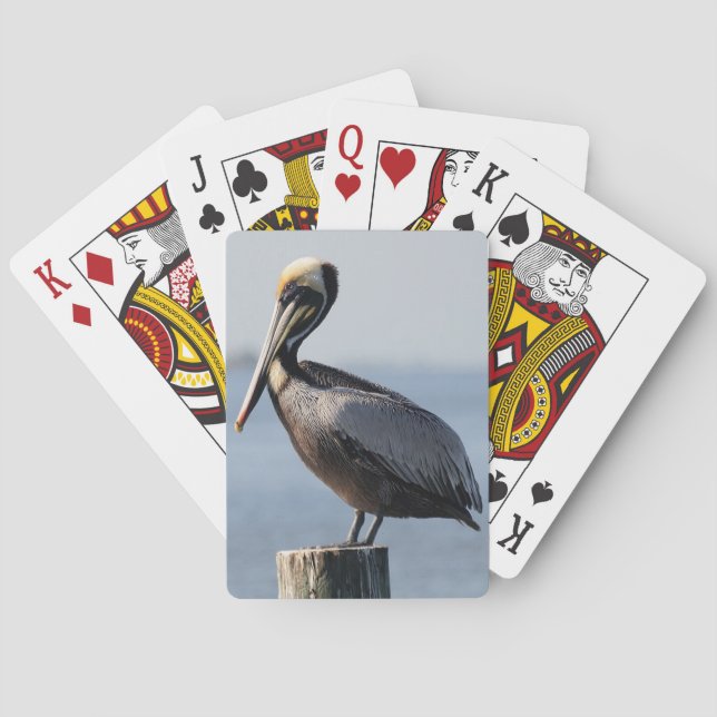 Cartes de jeu de pélican (dos)