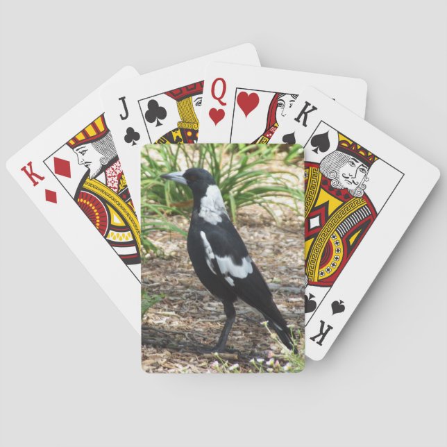 Cartes de jeu de pie australienne (dos)