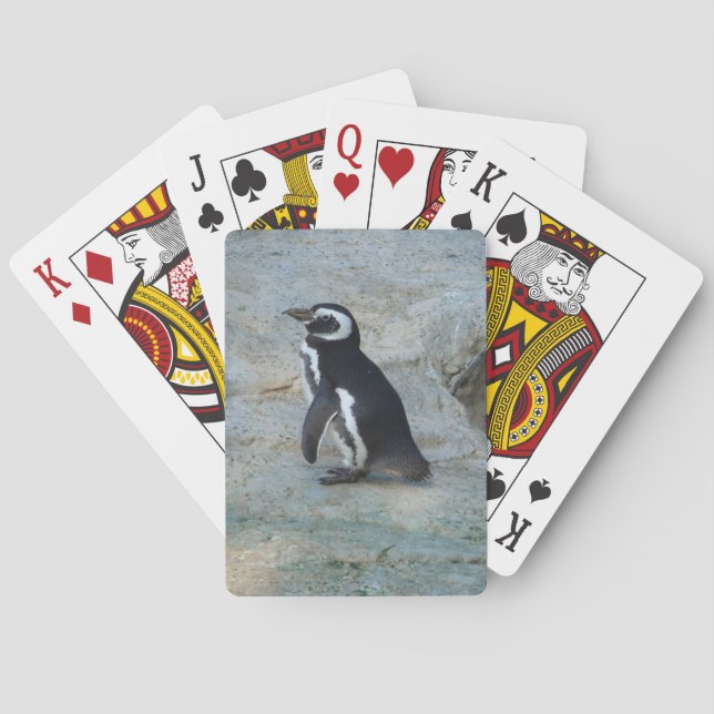 Cartes de jeu de pingouins (dos)
