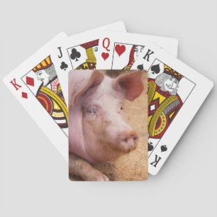Cartes de jeu de porc